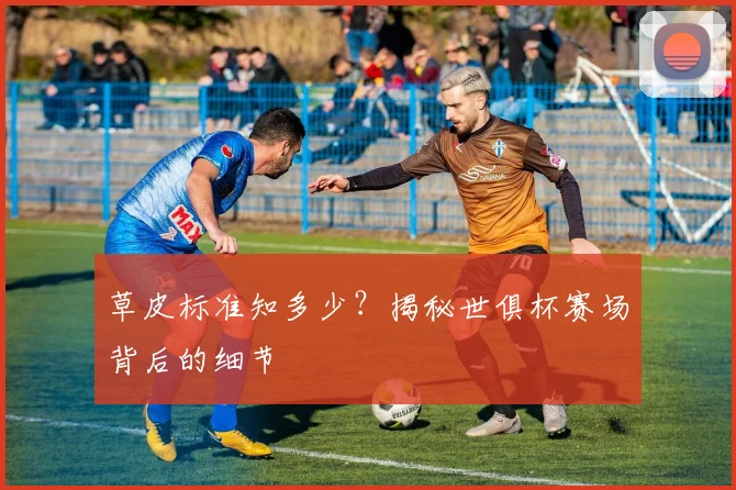 草皮标准知多少？揭秘世俱杯赛场背后的细节