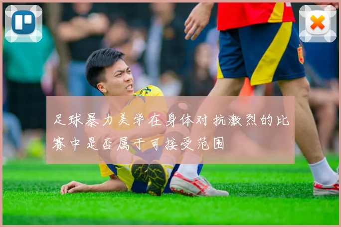 足球暴力美学在身体对抗激烈的比赛中是否属于可接受范围
