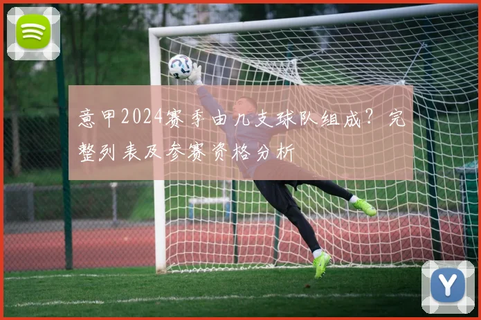 意甲2024赛季由几支球队组成？完整列表及参赛资格分析