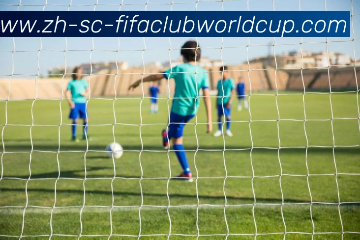 世界杯赛程发展历程